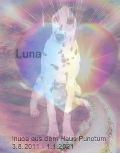 Heute ist unsere Luna (Inuca)  ins Regenbogenland gezogen
